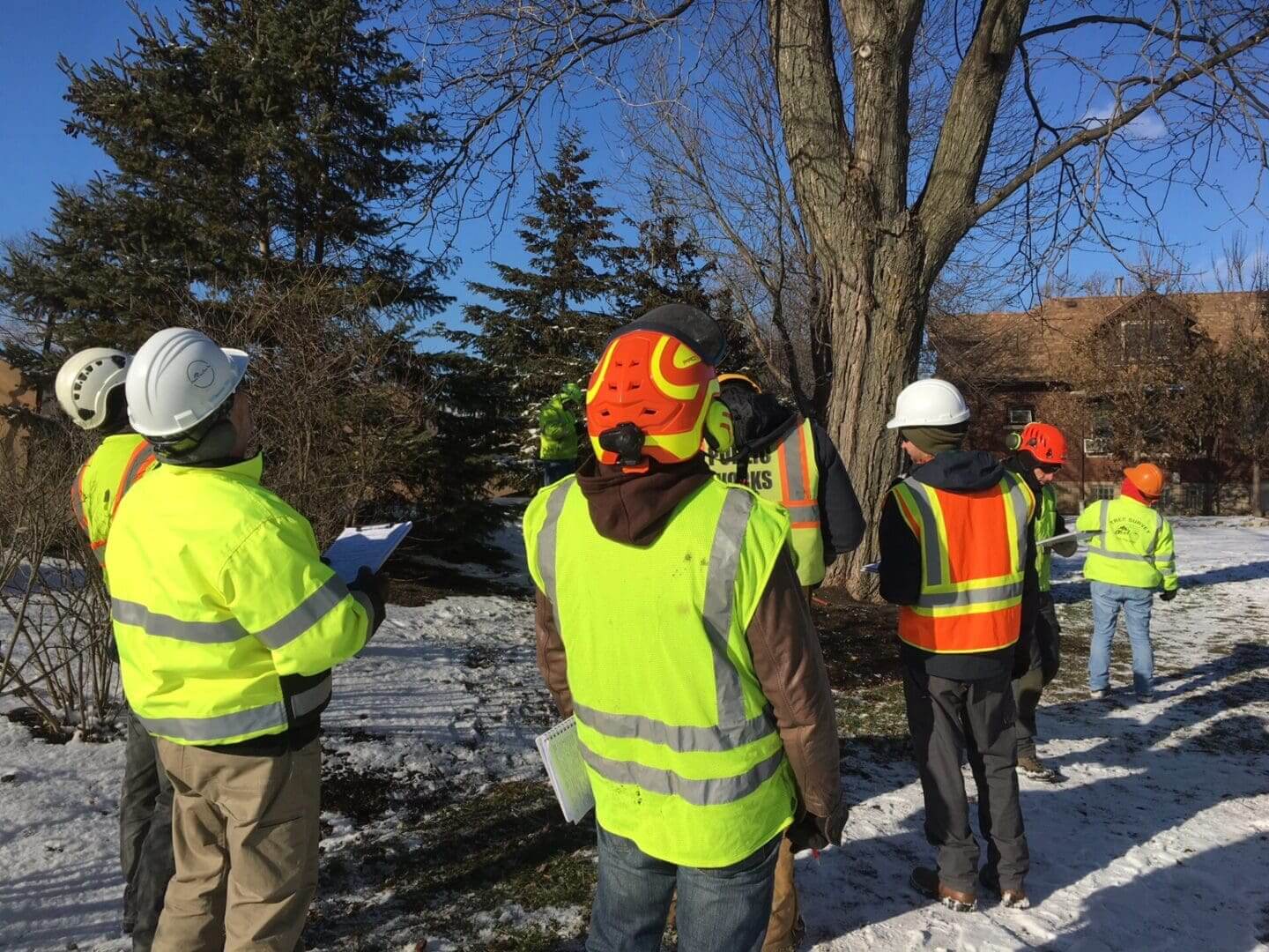 A group of people standing around a tree.