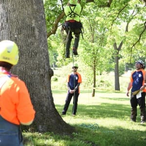 A group of people standing around a tree.