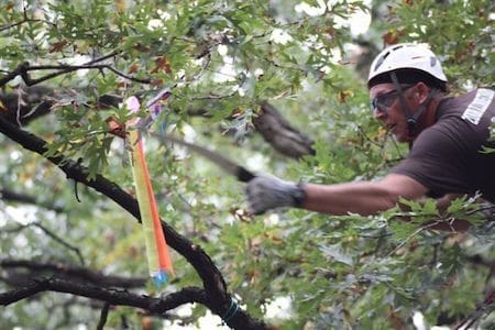 Man in helmet climbing a tree.
