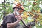 A man in a hard hat cutting a tree.