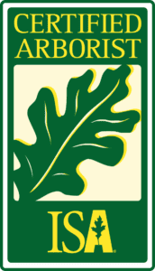 Certified Arborist logo with an oak leaf.