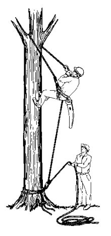 Illustration of climber belayed from ground