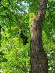 A person rappelling down a tree.