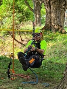 A tree climber suspended by ropes.