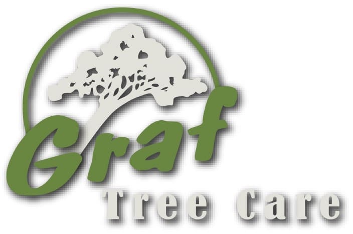 Graf Tree Care logo with a tree