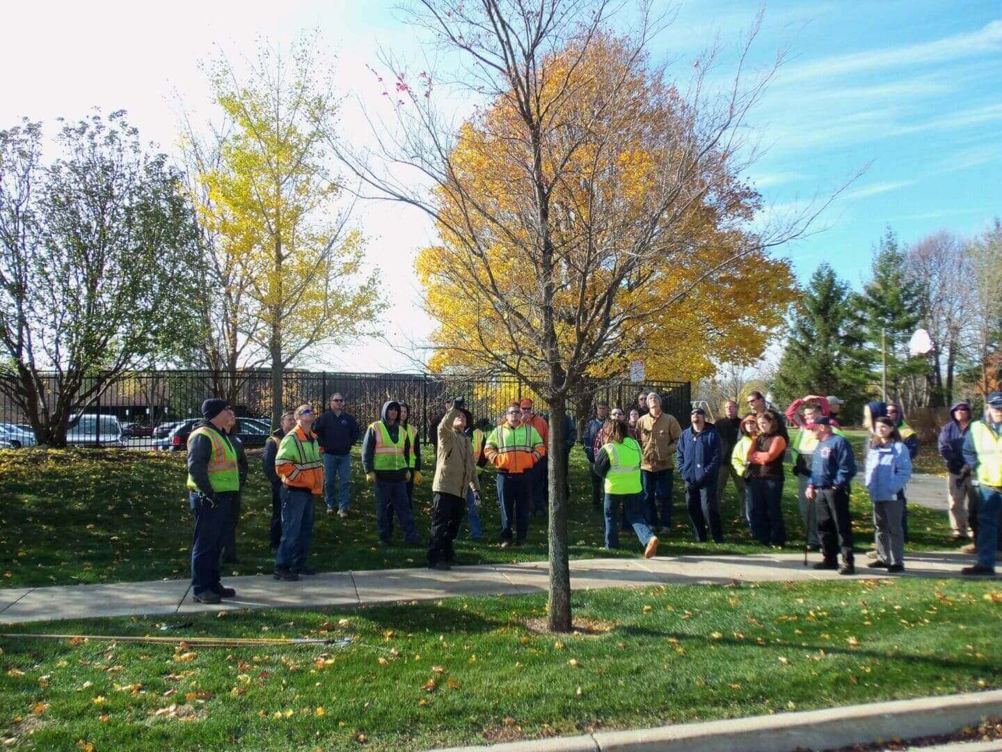 Group of people watching tree planting.