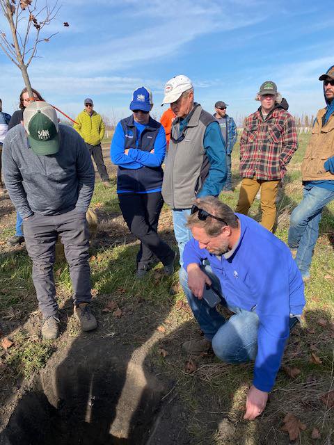 People planting trees outdoors.