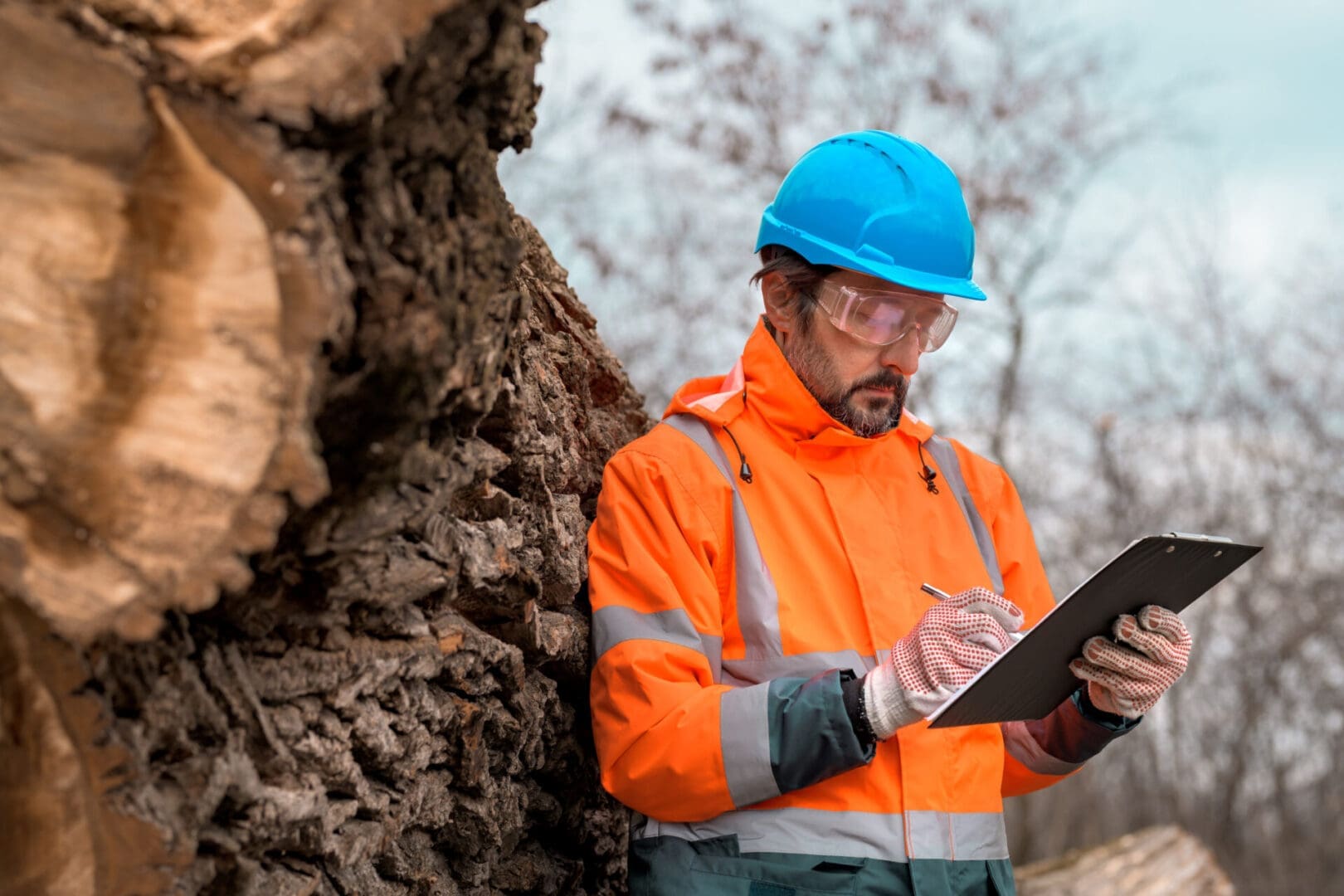Forester writing notes by tree trunk.