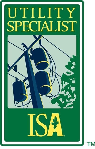 Utility Specialist ISA logo with power lines.