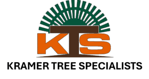KTS logo with green and orange design.