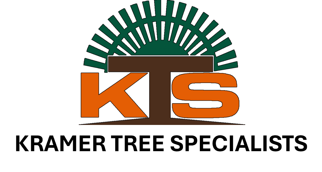 KTS logo with green and orange design.