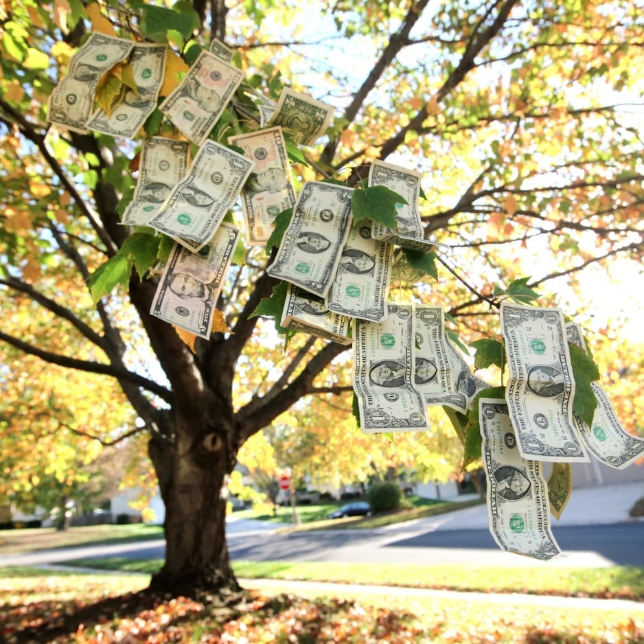 Tree with money bills as leaves.