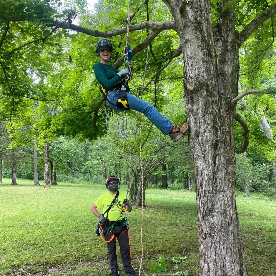 Tree climbing with safety gear in forest.