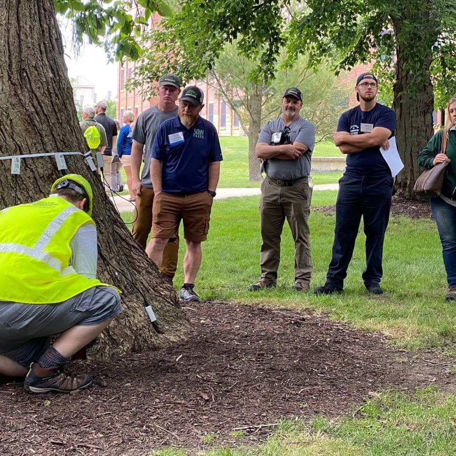 Person inspecting tree, group observing nearby.