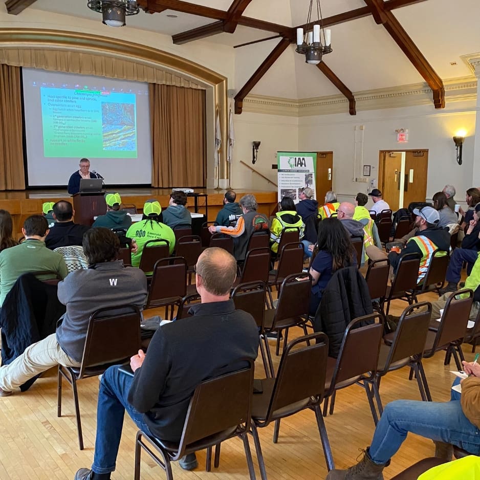 Audience attending a presentation in a hall.