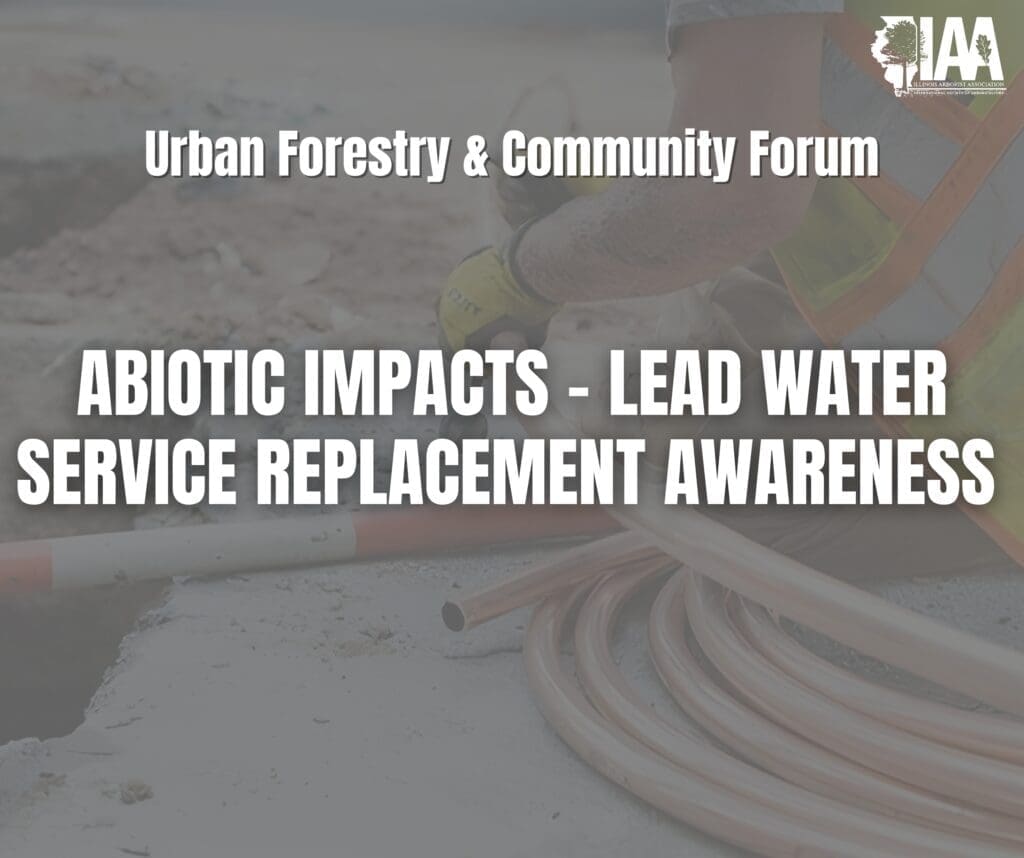 Lead water service replacement awareness forum poster.