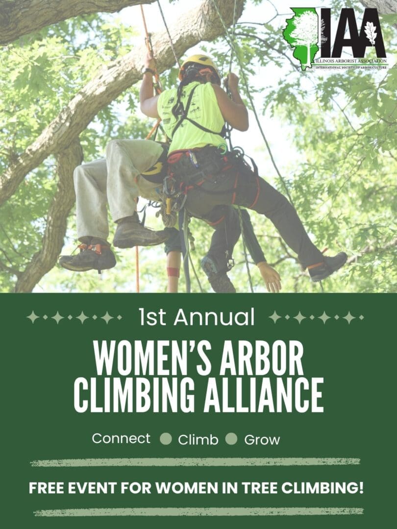 Event poster for Women's Arbor Climbing Alliance
