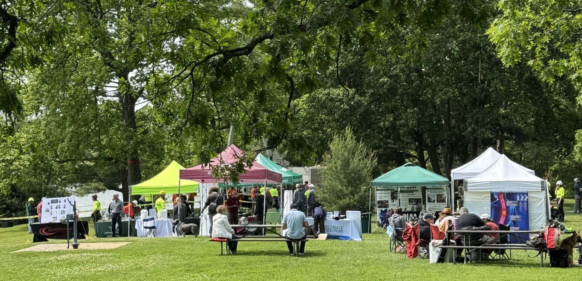Outdoor community fair with tents and people