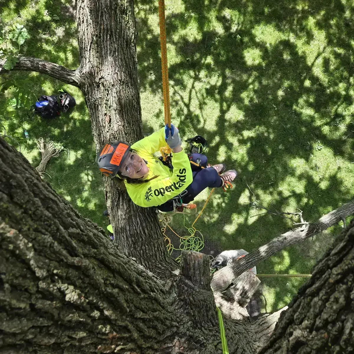 A man in yellow shirt climbing up a tree.